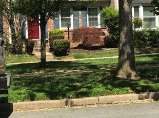 Bush Trimming by Kamonta Hackey for Michelle DUPLICATE ACCOUNT4 L. in Rockville, MD