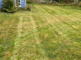 William W.'s Lawn Care service result