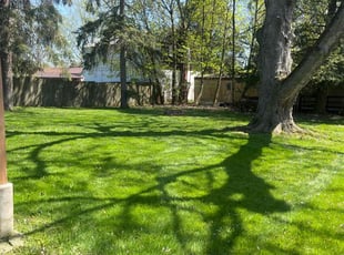 Edward B.'s Lawn Service service result