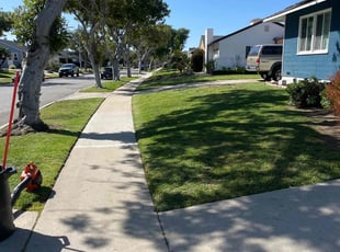Jeanne R.'s Grass Cutting service result