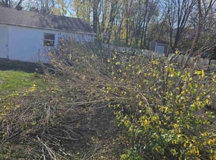 Bush Trimming by Leroy Green II for Yvette T. in Worthington, OH