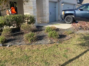 Bush Trimming by Rosa Reyes for Megan L. in Kyle, TX