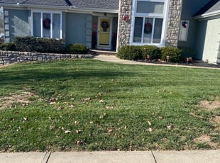 Leaf Removal by Jeffery Hartupee for Jackie W. in Kansas City, MO