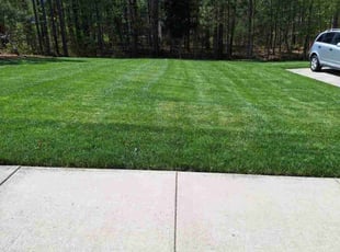Trenton H.'s Grass Cutting service result