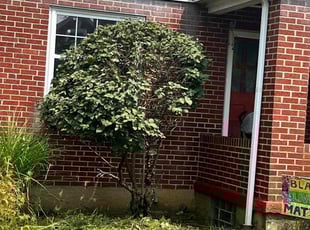 Bush Trimming by Jobe Homan for Mark I. in Cincinnati, OH