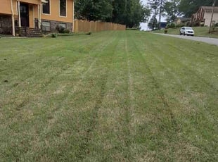 Ron B.'s Lawn Care service result