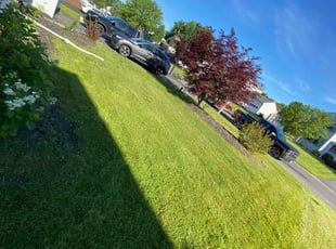 Sharrena J.'s Lawn Mowing Service service result