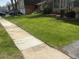 Bruno T.'s Lawn Maintenance service result