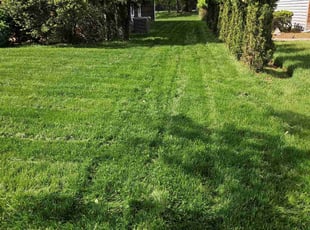 Asia R.'s Lawn Service service result