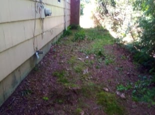 Cleanups by Augustin Frizner for Jorge M. in Milford, CT