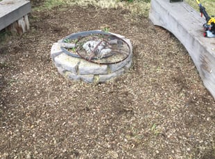 Weeding by Shawn Davis for Melanie A. in Midvale, UT