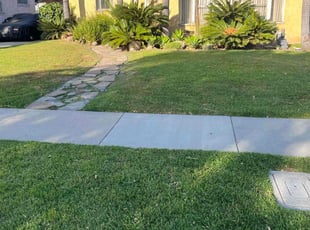 Novella F.'s Yard Cutting service result