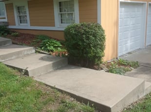 Bush Trimming by Julio Almestica for Ronyta J. in Grandview, MO