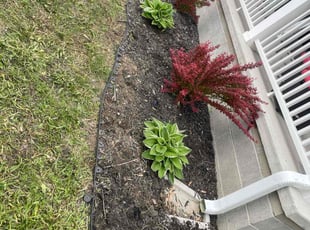 Weeding by Anthony Grant for Jeffrey M. in Indianapolis, IN