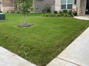 Wallace S.'s Lawn Mowing service result