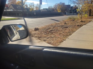 Weeding by Kevin Johnson for Katrina S. in Denver, CO