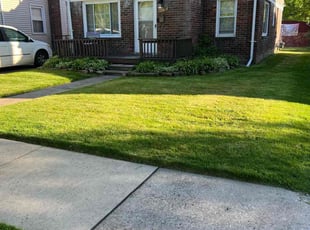 Genia S.'s Lawn Mowing service result