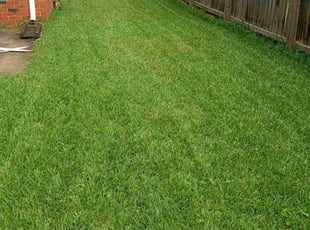 Erin M.'s Grass Cutting service result