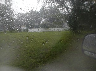 Cleanups by Tracy whitmore for Gabriel K. in Valrico, FL