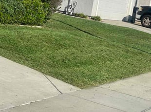 Evan l.'s Lawn Care service result