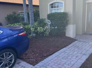 Bush Trimming by Michael Van Deest for Sherrie W. in Orlando, FL