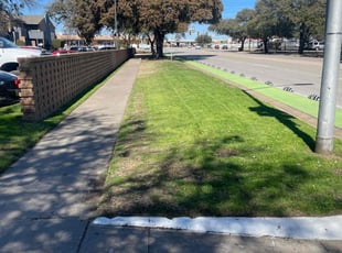 Samelynn C.'s Lawn Care service result