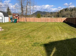 Jamie S.'s Lawn Service service result
