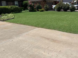 Brandy M.'s Lawn Service service result