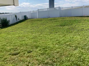 Chris M.'s Yard Cutting service result