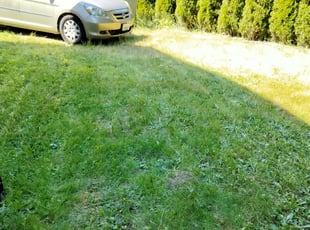 Cleanups by Angel Arredondo for Troy W. in Renton, WA