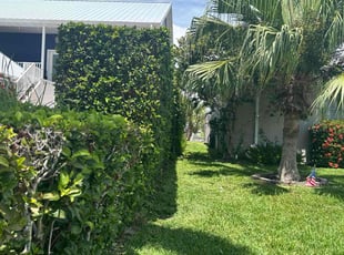 "Rita F.'s Lawn Mowing service result