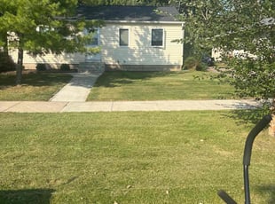 Sharon R.'s Yard Cutting service result