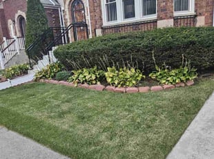 Sherry K.'s Grass Cutting service result