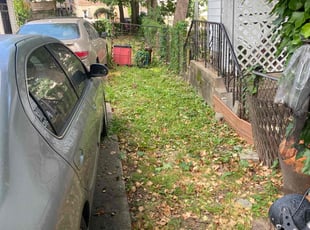 Cleanups by Nicholas Testerman for Joy C. in The Bronx, NY