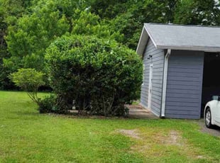 Bush Trimming by Terry Swanson for Tim R. in Nashville, TN