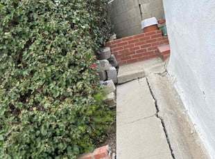 Weeding by Santos Pereira for Adina L. in Los Angeles, CA