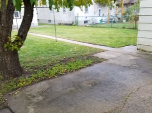 Leaf Removal by Kyle Anderson for james l. in Minneapolis, MN