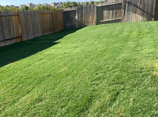 Kevin B.'s Lawn Care service result