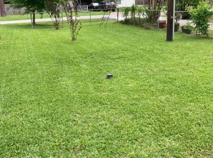 Jeremy R.'s Lawn Mowing Service service result