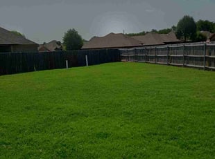Kristi M.'s Grass Cutting service result