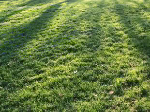 Cleanups by Chris Pratt for Randall H. in Dayton, KY