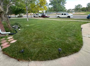 Debbie H.'s Lawn Care service result