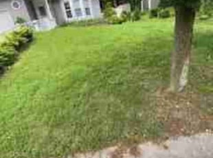 David R.'s Lawn Service service result