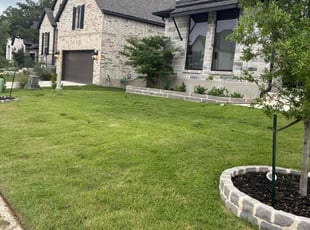 Dr Carol E.'s Lawn Service service result