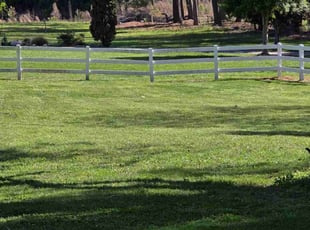 Jean S.'s Yard Cutting service result