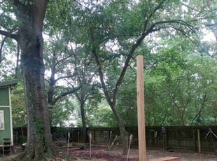 Leaf Removal by Charles Hall jr for Jessica D. in Atlanta, GA