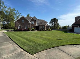 Troy-Dale E.'s Yard Cutting service result