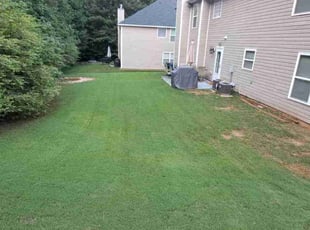 Nathalie P.'s Lawn Mowing service result