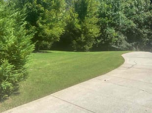 Frenandus M.'s Lawn Mowing service result