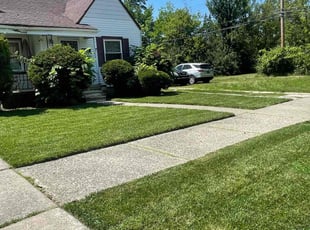 Joy W.'s Lawn Care service result